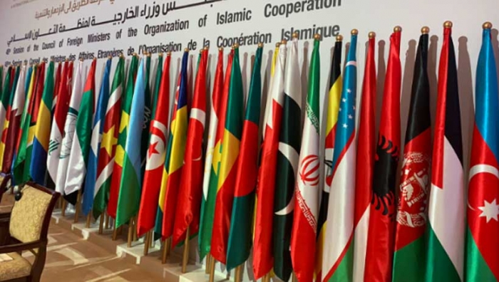 Members of Contact Group of OIC on Armenia's aggression to visit Azerbaijan
