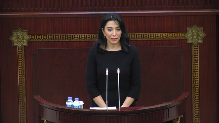 Azerbaijani Ombudsperson sends report to international organizations

