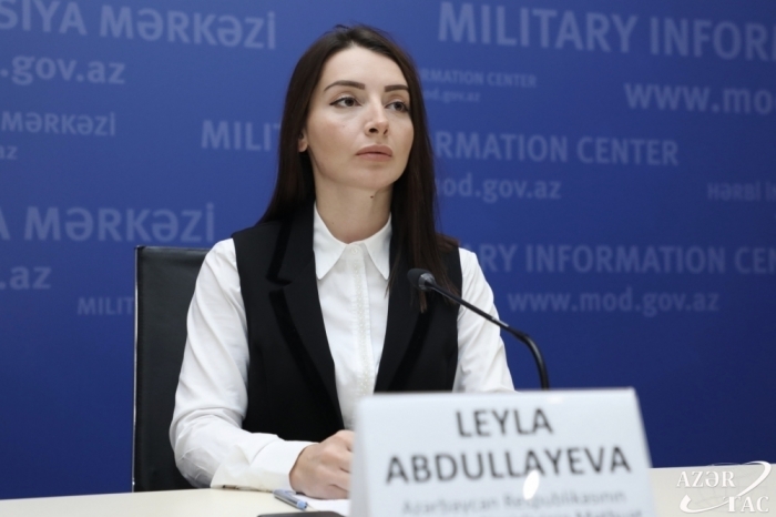 Leyla Abdullayeva: Armenian deputy PM forgot that the elections are over