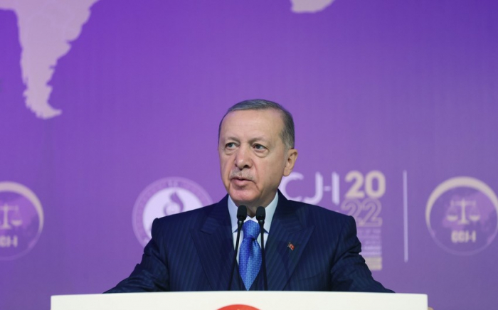 Эрдоган: Макрон не обладает квалификацией главы государства
