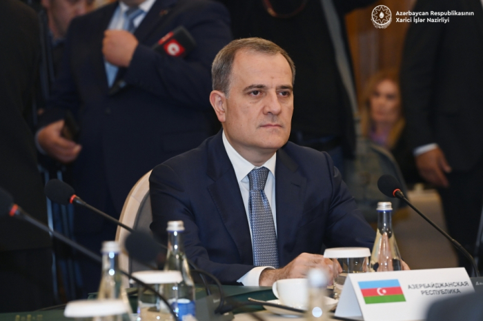 Azerbaijani FM delivers speech at meeting of CIS Council of Foreign Ministers in Kyrgyzstan