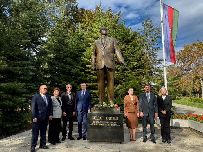 Обсуждены азербайджано-сербские межпарламентские связи-фото