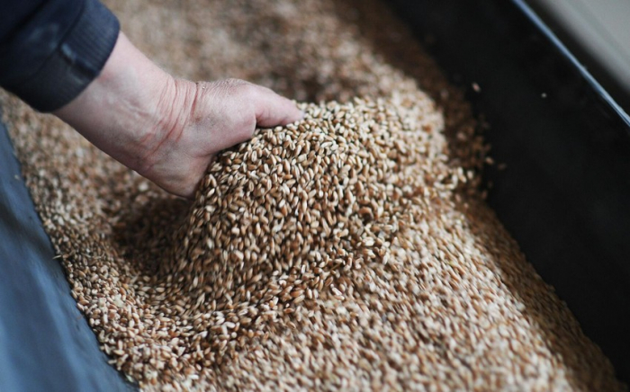 Казахстан может подписать с Китаем меморандум по поставке 200 тыс. тонн зерна