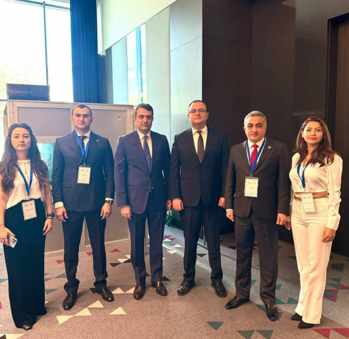 Делегация Коллегии адвокатов Азербайджана приняла участие в международной конференции в Грузии- фото 