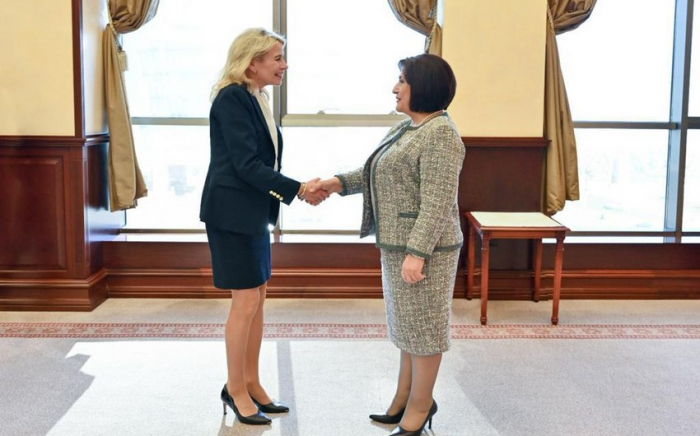 Председатель Милли Меджлиса встретилась с президентом ПА ОБСЕ