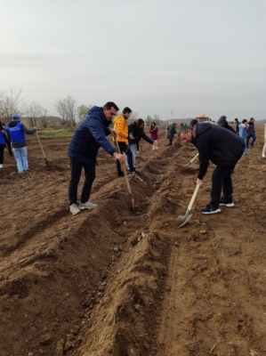 Очередная акция по посадке деревьев в рамках «Года Гейдара Алиева» в Нахчыване