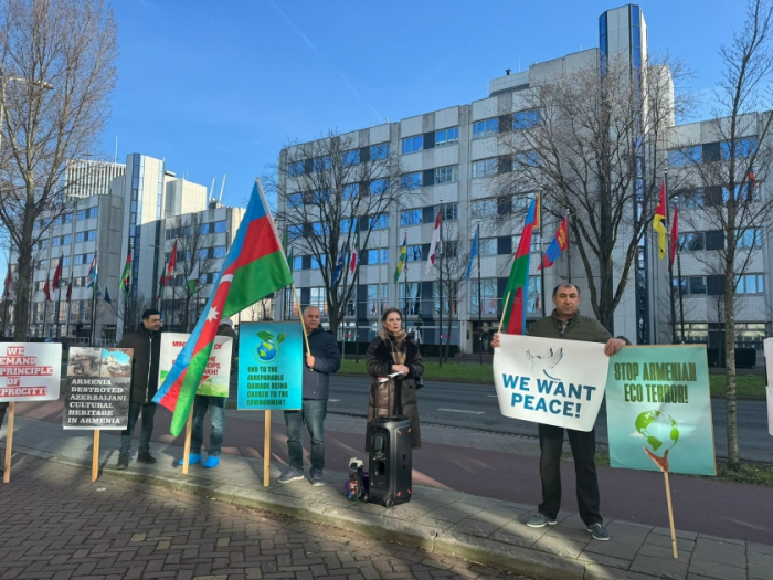 Члены азербайджанской диаспоры провели в Гааге мирную акцию протеста против минного террора