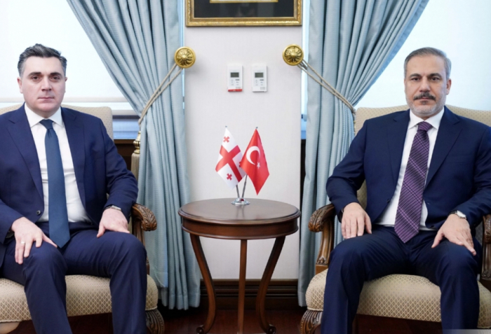 Министры иностранных дел Турции и Грузии обсудили вопросы безопасности на Южном Кавказе