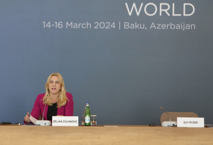 Желька Цвиянович: Глобальный Бакинский Форум – подходящая площадка для обсуждения важных вопросов
