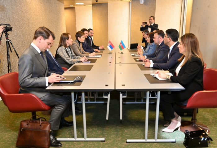 Председатель Милли Меджлиса Азербайджана встретилась со своим сербским коллегой
