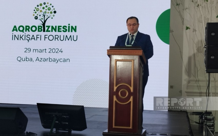 Меджнун Мамедов: COP29 адаптирует аграрную политику Азербайджана к международному опыту
