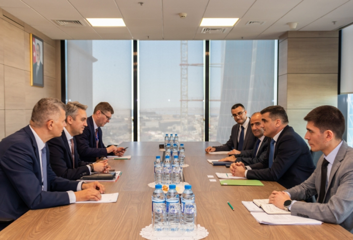 В AERA прошла встреча с президентом Управления по регулированию энергетики Румынии