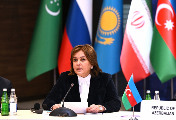Азербайджан выступил с предложением о совместных мониторингах на Каспийском море