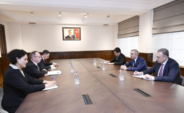 Руководитель Администрации Президента Самир Нуриев встретился с генеральным директором департамента Азиатского банка развития