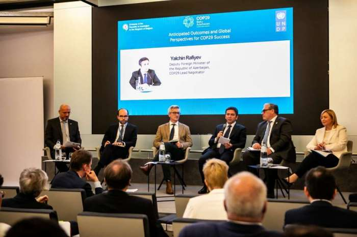 Azerbaijani Embassy, UNDP Brussels office organize conference on COP29