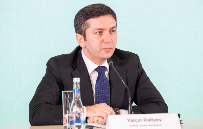 Azerbaijan committed to speeding up clean energy transition: COP29 chief negotiator