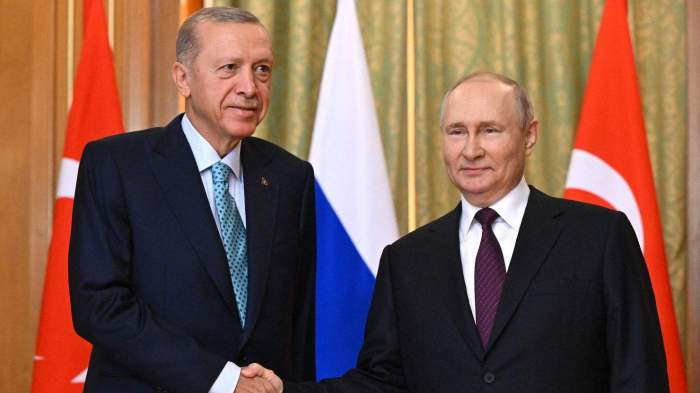 Russian and Turkish Presidents discuss economy and global issues in phone call