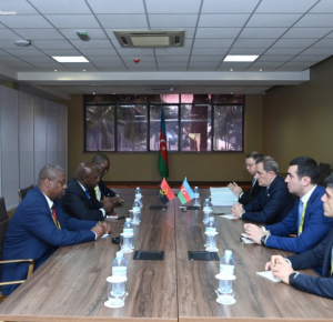 Министр иностранных дел Азербайджана встретился с ангольским коллегой