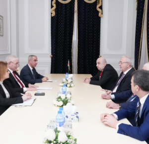 Председатель Центральной избирательной комиссии встретился с генеральным секретарем Организации черноморского экономического сотрудничества