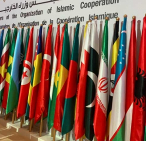 Members of Contact Group of OIC on Armenia's aggression to visit Azerbaijan
