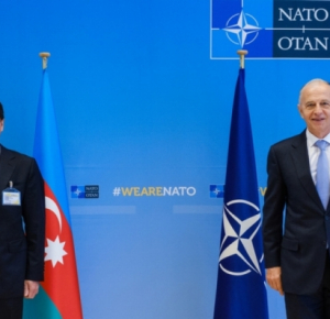 Assistant to Azerbaijani President meets with NATO Deputy Secretary General in Brussels