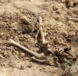 Bodies of 215 children found at Canadian residential school