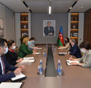 Azerbaijan, WHO discuss prospects for cooperation