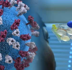 Tracking the origin of a virus is a matter of science, not politics