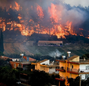 Baku Tribune comments on forest fires in Turkey - VİDEO