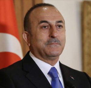 Turkish FM: “Turkey jointly acts with Azerbaijan in issue of normalization of relations with Armenia”
