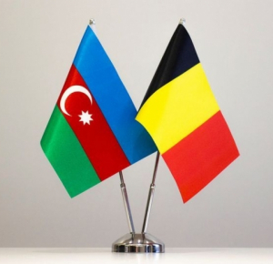 Azerbaijan, Belgium discuss prospects for development of cooperation in renewable energy sector