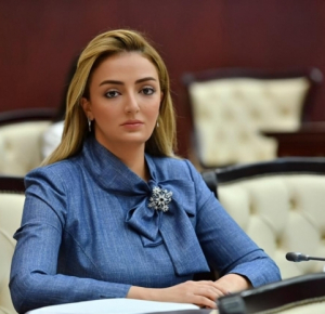 Croatian media publishes Azerbaijani MP’s article on country’s great victory in Karabakh