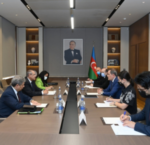 Azerbaijan, Egypt discuss regional and international issues of mutual interest