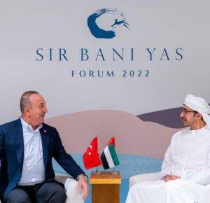 Foreign ministers discuss Türkiye-UAE ties, regional developments