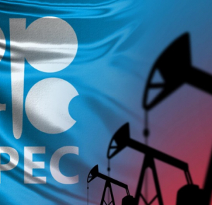 ОПЕК в ноябре сократила добычу нефти к октябрю на 0,74 млн баррелей в сутки
