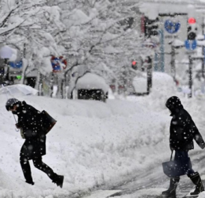 В Японии 19 тыс. домов остались без электричества из-за снегопада
