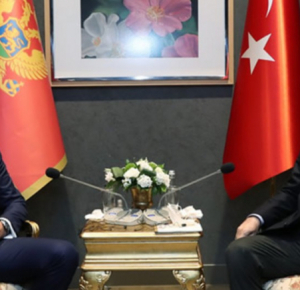 Президент Черногории посетит с рабочим визитом Турцию
