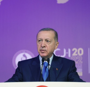 Эрдоган: Макрон не обладает квалификацией главы государства

