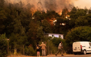 В Чили 22 человека стали жертвами лесных пожаров
