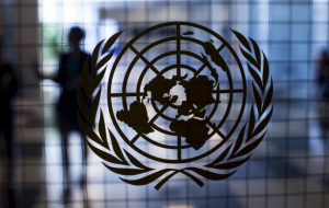 В ООН уличили Данию в непринятии эффективных мер против проявлений расизма
