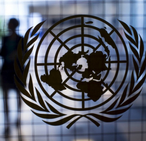 В ООН уличили Данию в непринятии эффективных мер против проявлений расизма