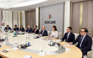 SOCAR, Pakistani companies discuss prospects for cooperation