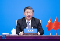Си Цзиньпин предложил миру уникальный путь успеха для всех