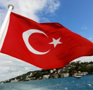 Турция ограничит проход в Черное море военных кораблей нечерноморских стран