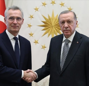 Эрдоган обсудил с генсеком НАТО обострение израильско-палестинского конфликта