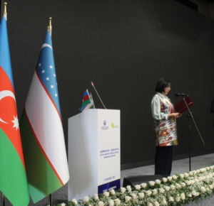 Представители НПО Азербайджана и Узбекистана направили обращение к главам двух стран
