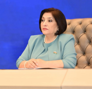 Председатель Милли Меджлиса встретилась с делегацией правящей партии Турции