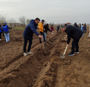 Очередная акция по посадке деревьев в рамках «Года Гейдара Алиева» в Нахчыване