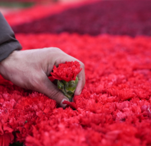 В столице началась подготовка к годовщине трагедии 20 Января