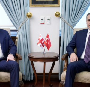 Министры иностранных дел Турции и Грузии обсудили вопросы безопасности на Южном Кавказе